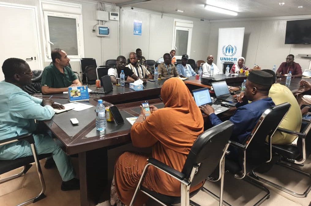 Participation de l&rsquo;ONG AESF à la réunion mensuelle du Cluster Protection Tombouctou/Taoudéni